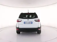 Usata Ford Ecosport Active 125 CV (91 kW) 2021 Bianco SUV