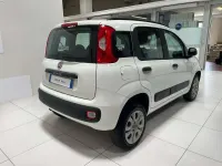Usata Fiat Panda Easy 80 CV (58 kW) 2018 Bianco Utilitaria