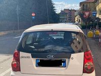 Usata Kia Picanto 2010 Bianco Utilitaria