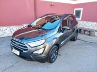 usata Ford Ecosport 1.5 Ecoblue 100 CV Start&Stop Business