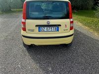 Usata Fiat Panda 77 CV (56 kW) 2009 Giallo Berlina