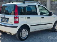 Usata Fiat Panda Dynamic 60 CV (44 kW) 2010 Bianco Utilitaria