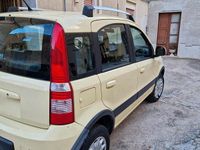 Usata Fiat Panda 4x4 60 CV (44 kW) 2010 Giallo Utilitaria