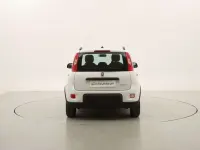Usata Fiat Panda City Life 71 CV (52 kW) 2022 Bianco Utilitaria