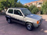 Usata Fiat Panda 4x4 Trekking 54 CV (39 kW) 1999 Argento Utilitaria