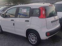Usata Fiat Panda S 71 CV (52 kW) 2021 Bianco pastello Utilitaria