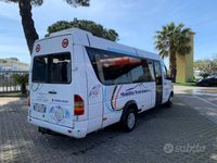 usata Mercedes Sprinter 416 CDI Mini Bus 19+1 posti