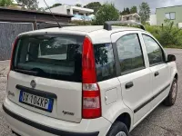 Usata Fiat Panda 60 CV (44 kW) 2009 Utilitaria