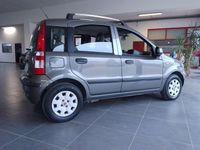 Usata Fiat Panda 69 CV (50 kW) 2011 Grigio Utilitaria