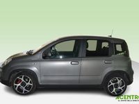 Usata Fiat Panda Sport 70 CV (51 kW) 2021 Grigio Utilitaria