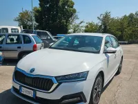 Usata Skoda Octavia Style 110 CV (80 kW) 2020 Bianco Station wagon