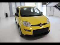 Usata Fiat Panda S 70 CV (51 kW) 2024 Giallo Utilitaria