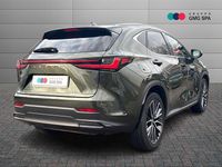Usata Lexus NX450h+ Luxury Line 309 CV (227 kW) 2022 Grigio SUV