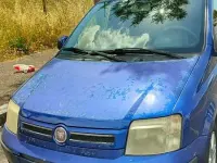 Usata Fiat Panda Dynamic 69 CV (50 kW) 2010 Blu Utilitaria