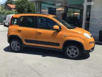 Usata Fiat Panda 4x4 S 75 CV (55 kW) 2013 Arancione Utilitaria