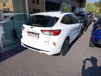 Usata Ford Kuga ST-Line 224 CV (164 kW) 2023 Bianco SUV