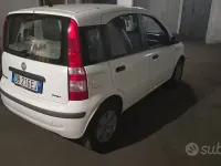 Usata Fiat Panda 69 CV (50 kW) 2006 Bianco Utilitaria