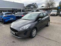 usata Ford Fiesta 1.1 75 CV GPL 5 porte Connect