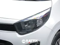 Brugt Kia Picanto Urban 67 HK (49 kW) 2024 Hvid Hatchback
