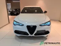 Usata Alfa Romeo Stelvio 209 CV (153 kW) 2025 Grigio SUV