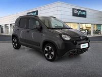 usata Fiat Panda Cross 1.0 FireFly 70cv S&S Hybrid