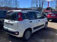 usata Fiat Panda 1.2 Lounge