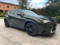 Usata Lexus UX Executive Line 152 CV (111 kW) 2019 Verde SUV