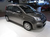 usata Fiat Panda 1.0 FireFly S&S Hybrid