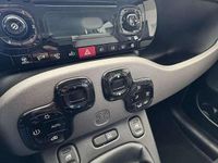 Usata Fiat Panda 4x4 75 CV (55 kW) 2013 Other Utilitaria