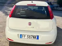 Usata Fiat Punto Street 69 CV (50 kW) 2016 Utilitaria