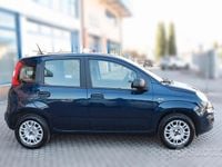 Usata Fiat Panda Easy 69 CV (50 kW) 2020 Blu Utilitaria
