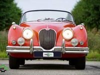 Usata Jaguar XK 193 CV (141 kW) 1958 Rosso Cabrio