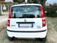 Usata Fiat Panda 77 CV (56 kW) 2009 Bianco Utilitaria