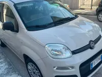 Usata Fiat Panda 69 CV (50 kW) 2016 Bianco Utilitaria
