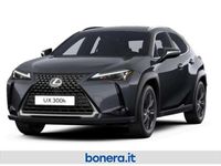 Nuova Lexus UX 300h 199 CV (146 kW) 2025 Pure white SUV