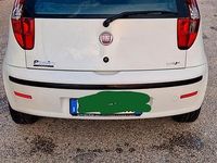 Usata Fiat Punto Classica 69 CV (50 kW) 2009 Bianco Utilitaria