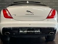 usata Jaguar XJ 3.0D V6 300 CV Portfolio MOTORE CAMBIA