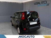 Usata Fiat Panda Icon 70 CV (51 kW) 2024 Nero Utilitaria
