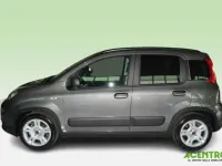 Usata Fiat Panda 70 CV (51 kW) 2023 Grigio Utilitaria