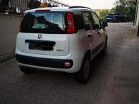 Usata Fiat Panda 85 CV (62 kW) 2013 Bianco Utilitaria