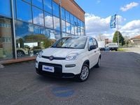 Usata Fiat Panda S 69 CV (50 kW) 2023 Bianco Utilitaria