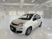 Usado Fiat Panda Easy 69 CV (50 kW) 2020 Blanco Utilitario