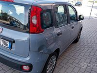 Usata Fiat Panda Easy 69 CV (50 kW) 2017 Grigio Utilitaria
