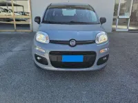 Usata Fiat Panda Easy 69 CV (50 kW) 2019 Grigio Utilitaria
