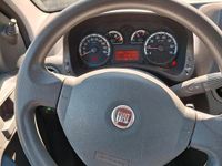Usata Fiat Panda 60 CV (44 kW) 2010 Grigio Utilitaria