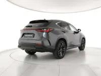 Usata Lexus NX350h 190 CV (139 kW) 2024 Grigio SUV