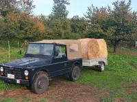 Usata Fiat Campagnola 79 CV (58 kW) 1986 SUV