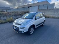 Usata Fiat Panda 4x4 S 74 CV (54 kW) 2013 Grigio Utilitaria