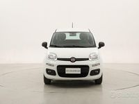 Usata Fiat Panda Easy 69 CV (50 kW) 2020 Bianco Utilitaria
