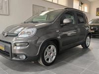 Usata Fiat Panda City Life 70 CV (51 kW) 2023 Grigio Berlina